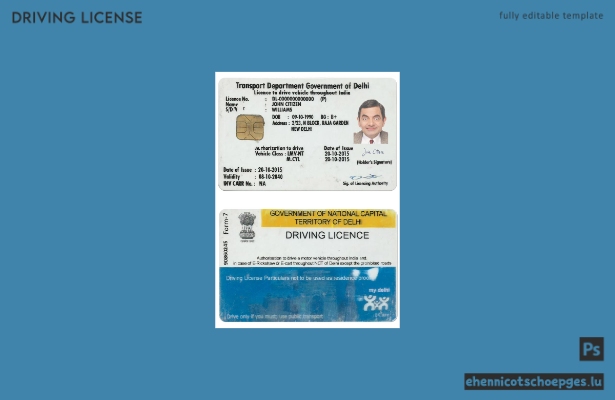 Indien Delhi Führerschein 2 Beispielvorschau